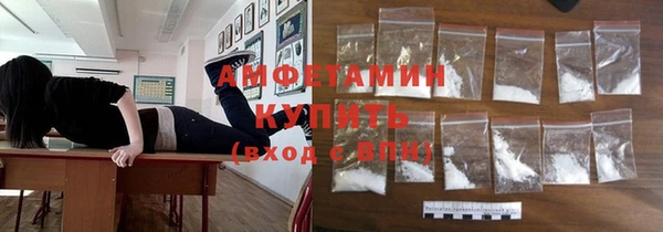 стафф Алзамай
