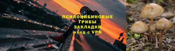 стафф Алзамай