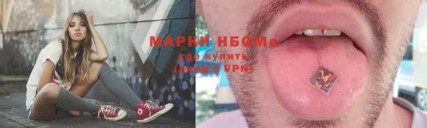 стафф Алзамай