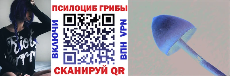 купить закладку  Нурлат  Галлюциногенные грибы Psilocybe 